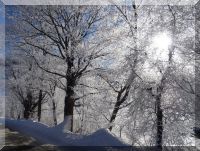 Hermine und Erwin Kieler